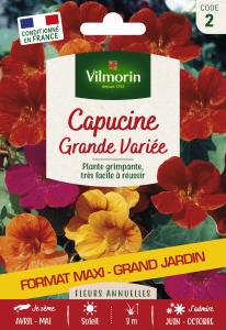 Capucine Grande Variée - Grand Modèle